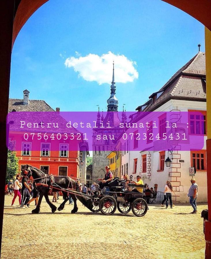 Pdn Apartment Sighişoara Exteriör bild